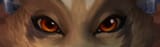 eyes