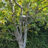2019-10-08_B3XDUttIjKA