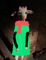 Gvq5SuYW4AAMLji