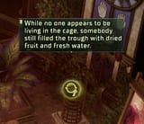 cassia nice