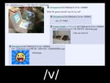vanimals
