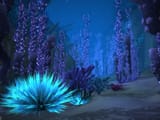 Vashj&#039;ir_4