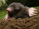 GettyImages-177362415-scaled