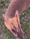 1688897778257_thumb.jpg