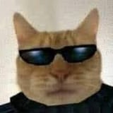 1702401332739578
