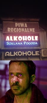 gąsiorek