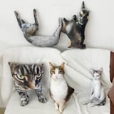 cat pillow