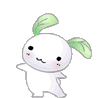bunnydance