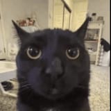 1000100321