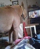 Hors