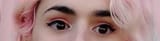 leplantlinkstare
