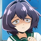 4243