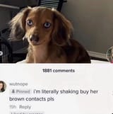 1735555028370049