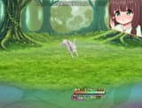 rabbit starvation