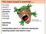 Report submitted