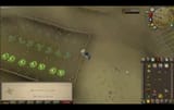 1745956464974060