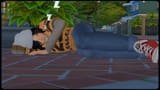zzz