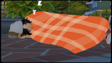 zzz