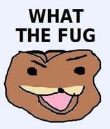 what_the_fug