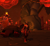 48634936