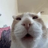 uuuuuhhhhhhhhh