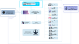 GSC_Organizational_Chart