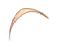 ahoge