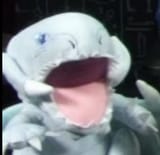 charizard from kantooooooo