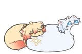 IM_8144