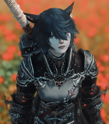 ffxiv_dx11_VHNjG9YbKZ