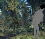duskwight hill ass