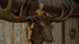 MeiraMoose