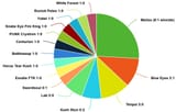 master climb decks