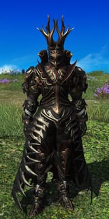 Stormblood PvP set