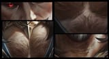 2151171433