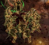Unfair Shival Gangbang