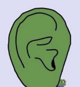 ear