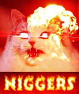 1582762850049