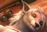 comfy worg