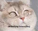 heaviest breaths