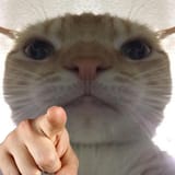 1745597021250074