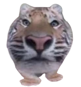 tigerorb-removebg-preview