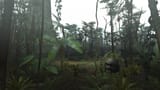 Jungle