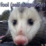 1728954475380887