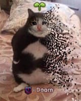 1749775732392027
