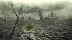 MHGen-Marshlands_Screenshot_001