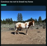 1677272506663