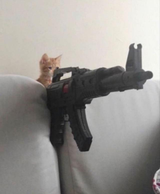 cat_gun_but_more_powerful