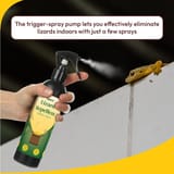 femra spray