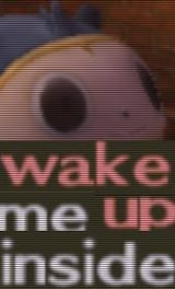 wake me up inside